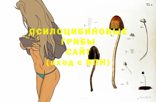 a pvp Алексин