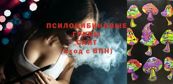 тгк Алзамай