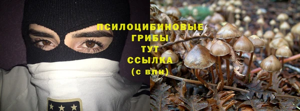 сатива Алексеевка