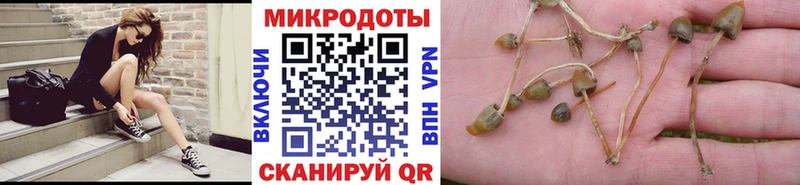 цена   Чебоксары  Галлюциногенные грибы GOLDEN TEACHER 